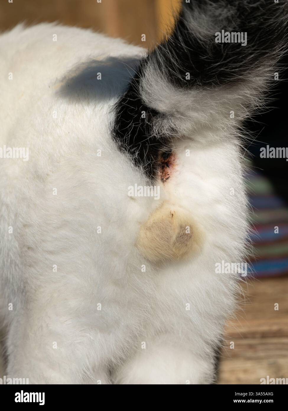 Guruh porno kompilyatsiya Uch jinsiy aloqa rus mmf videolar