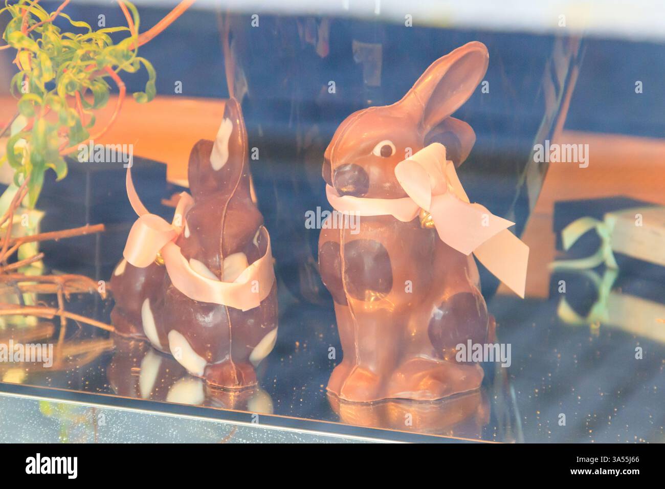 Two chocolate easter bunnies in a store display Stock Photo