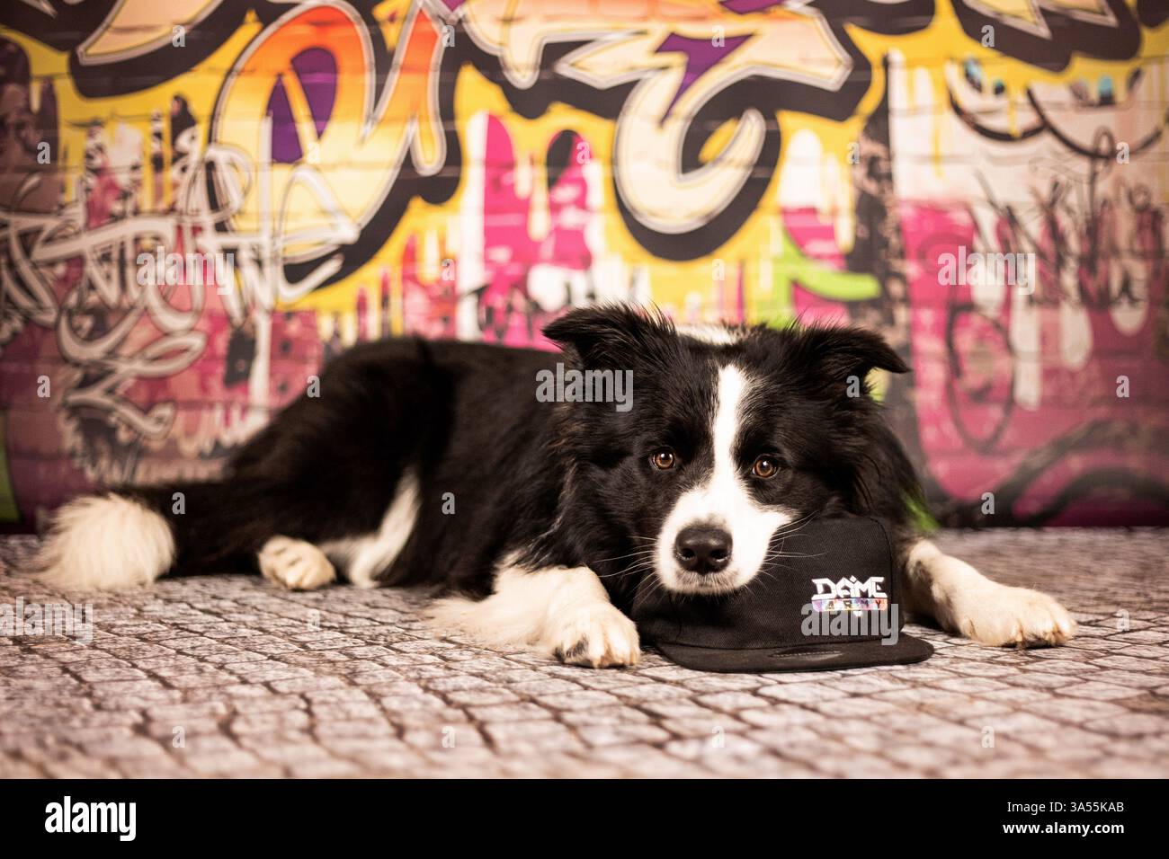 Studio style border hi-res stock photography and images - Alamy