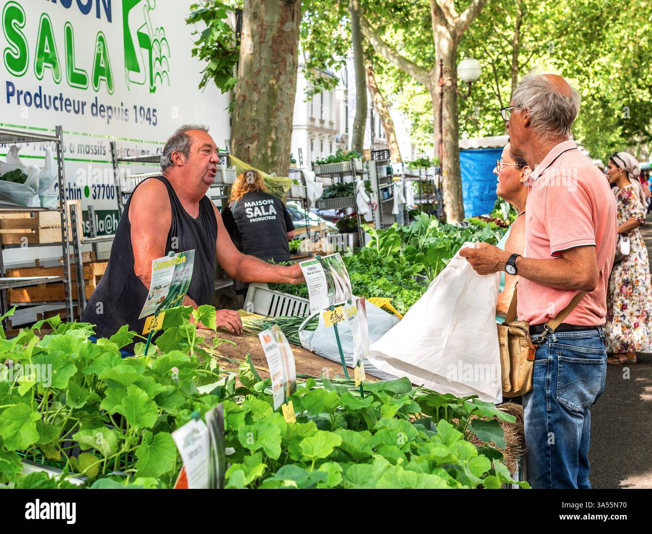 Market plants hi-res stock photography and images - Alamy