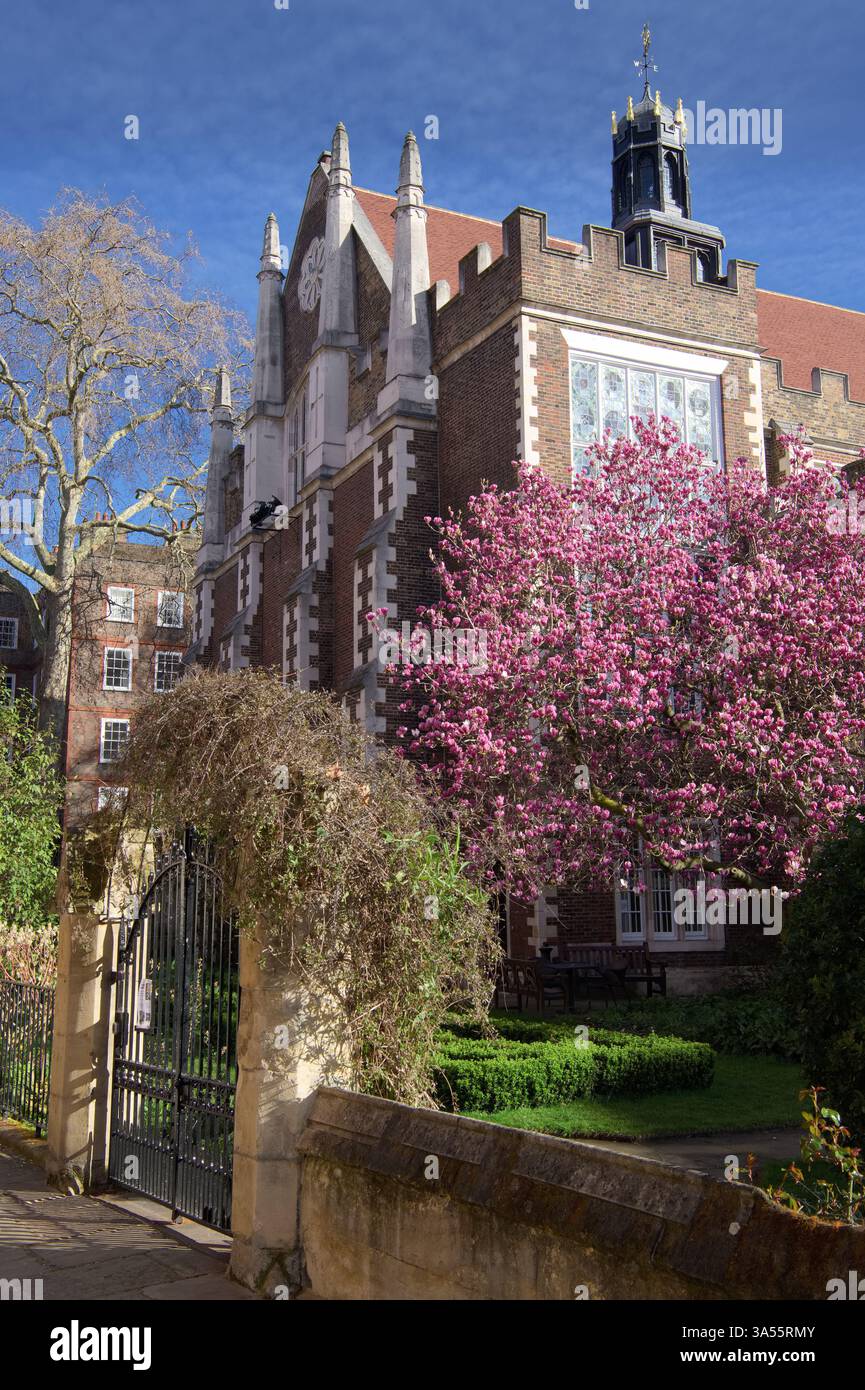 The Honourable Society of the Middle Temple building with cherry blossom Stock Photo