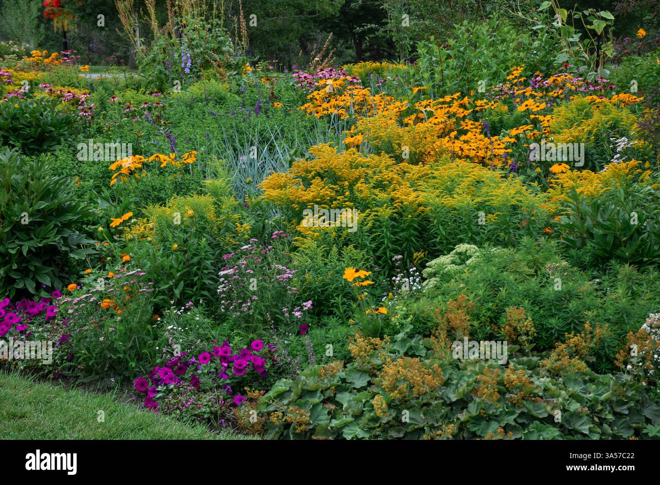 Garden flower bed border hi-res stock photography and images - Alamy