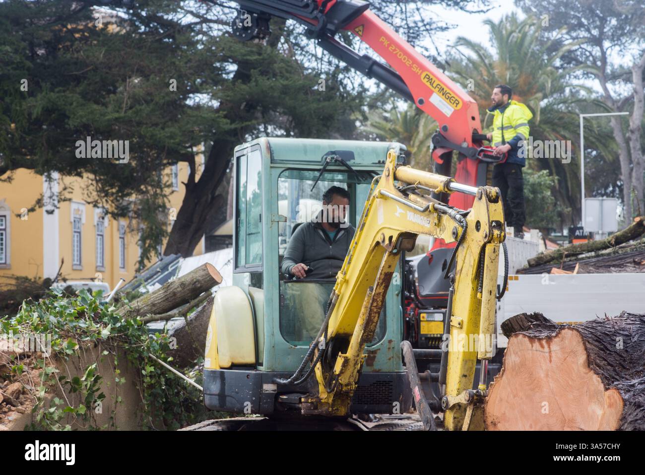 Emergency public services clean up fallen trees and inspect damage at ...