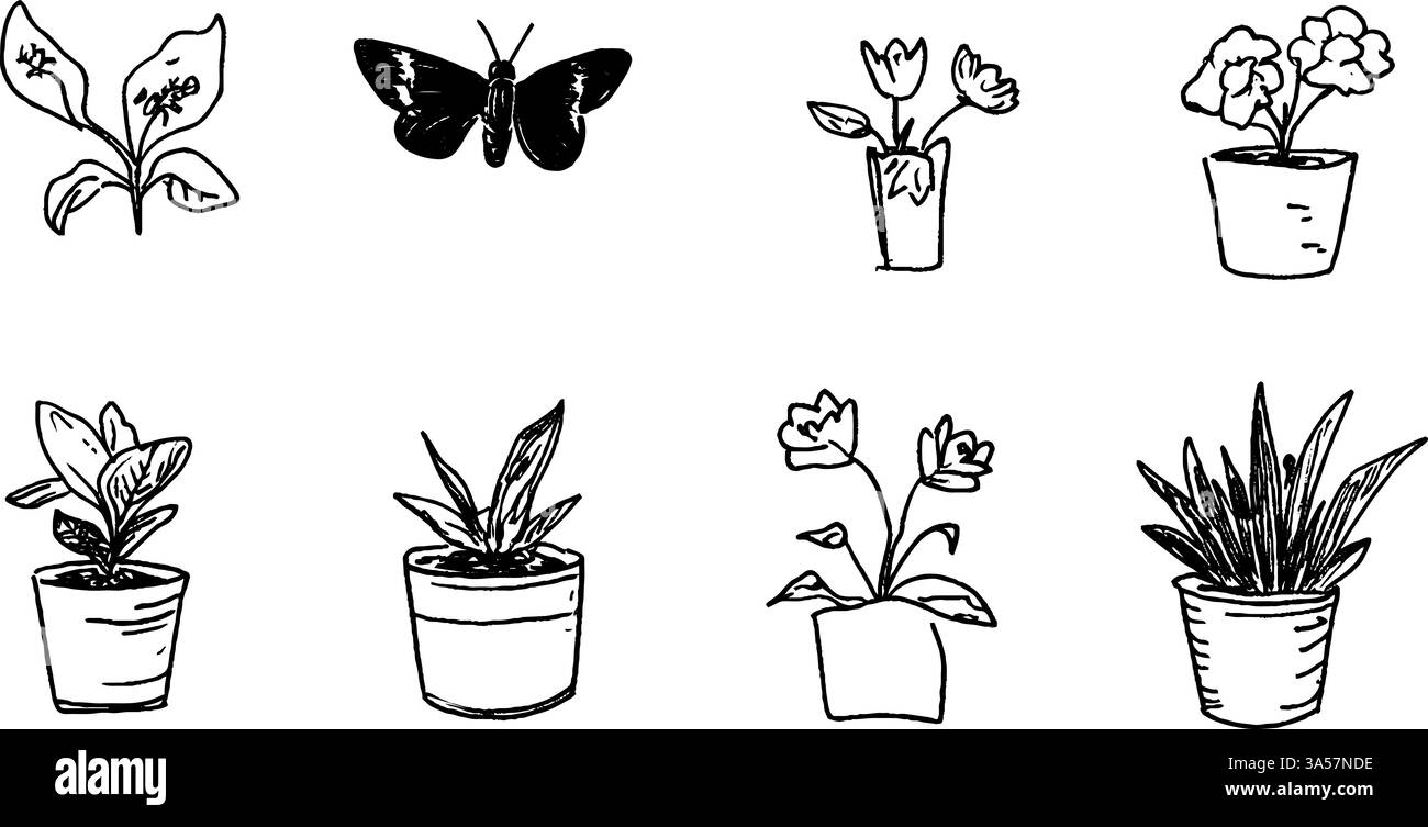 Hand-Drawn Plants and Butterfly Illustrations Stock Vector