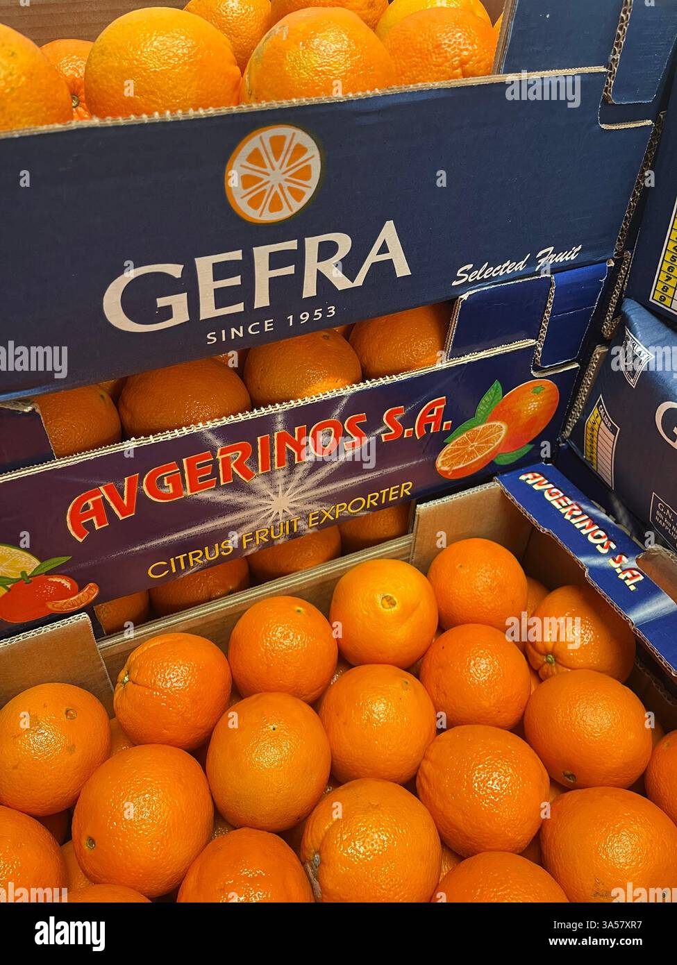 oranges, citrus fruits, Gefra, Avgerinos, fresh produce, Greek supplier, agriculture, food supply, distribution, supply chain, product of Greece, - Smartphone Captured Stock Image