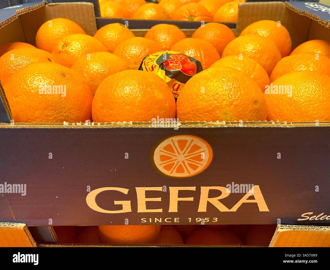 oranges, citrus fruits, Gefra, fresh produce, Greek supplier, agriculture, food supply, distribution, supply chain, product of Greece, agricultural - Smartphone Captured Stock Image