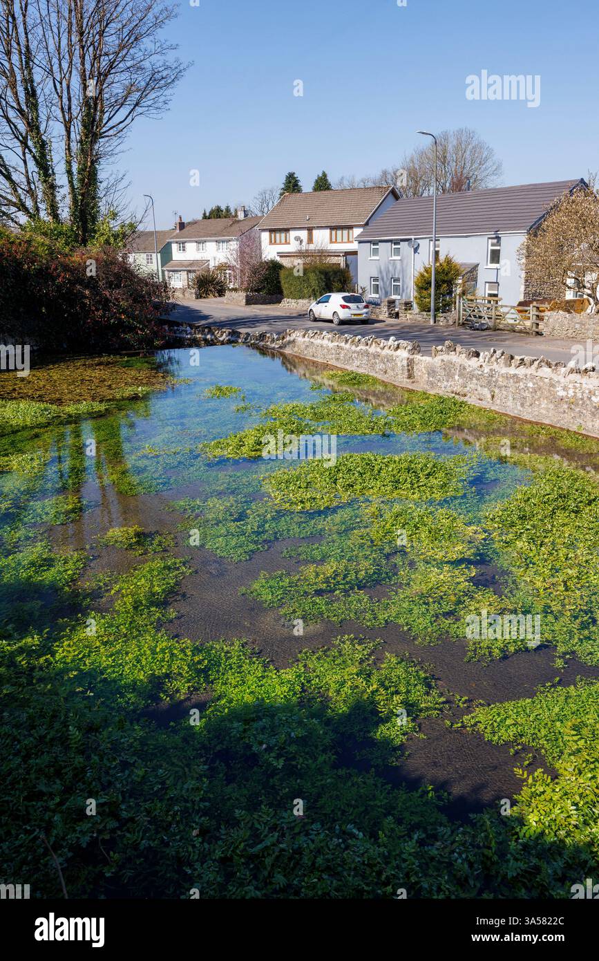Nat Baptismal Pool, Corntown, Wales, UK Stock Photo