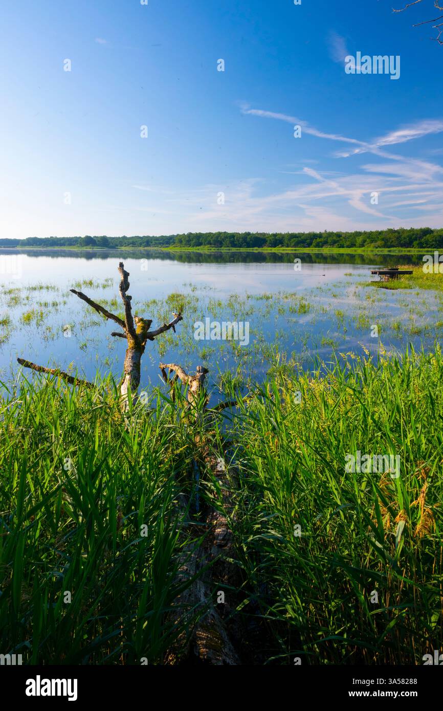 Etang de la mer rouge hires stock photography and images Alamy — free download