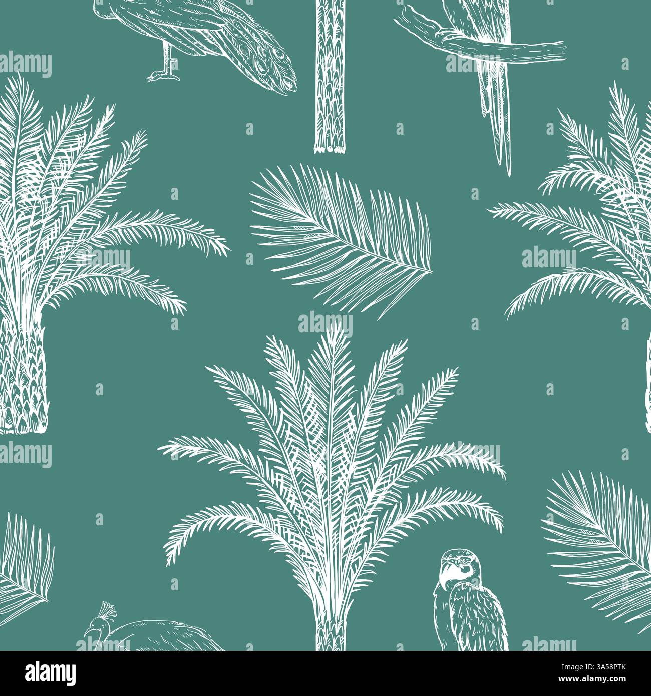 Wildlife vintage engraving african Stock Vector Images - Alamy