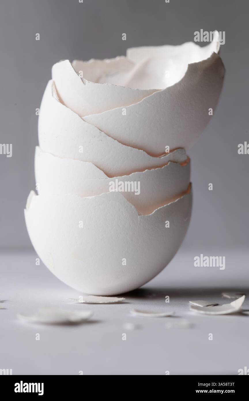Stack of white eggshells with broken pieces in foreground on gray background, vertical Stock Photo