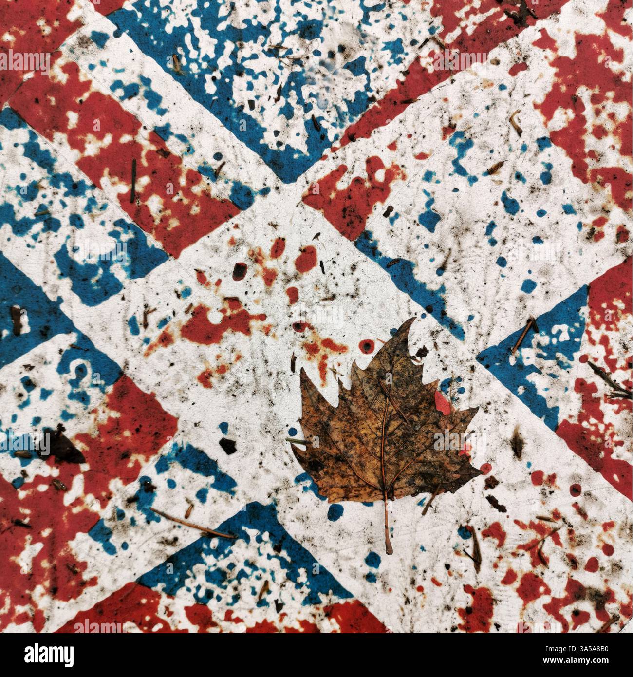 A leaf sits on a weathered surface featuring vibrant red and blue geometric patterns. - Smartphone Captured Stock Image