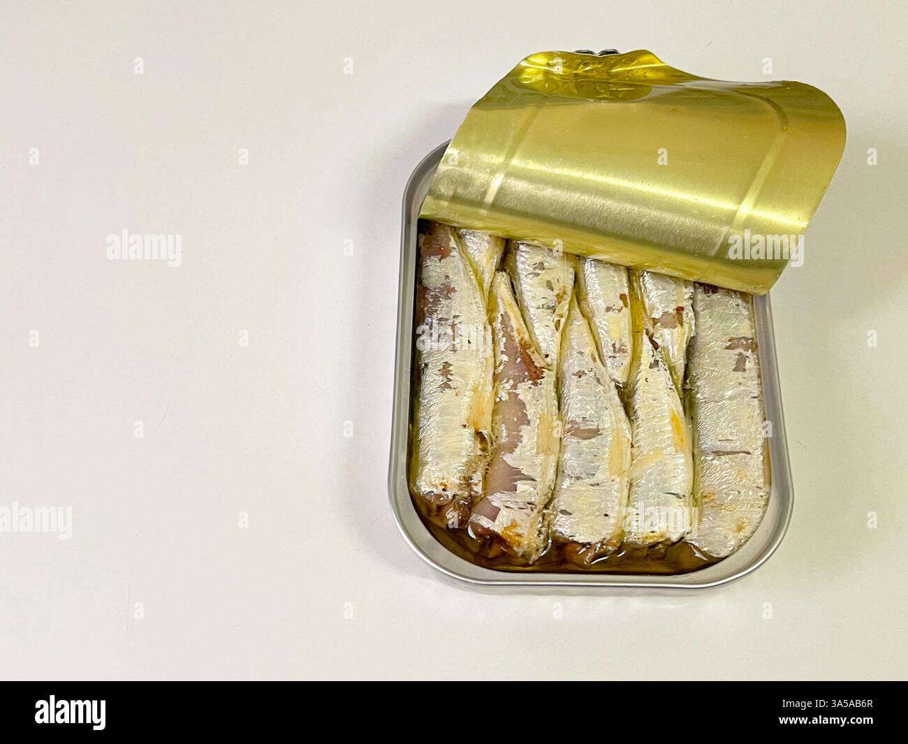 Open can of sardines. - Smartphone Captured Stock Image