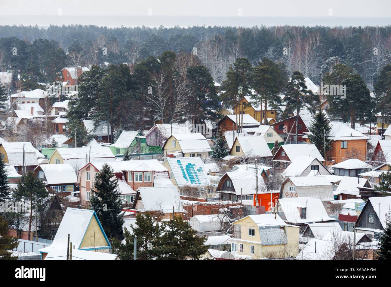 Winter wonderland in a peaceful snowy village surrounded by pine trees ...