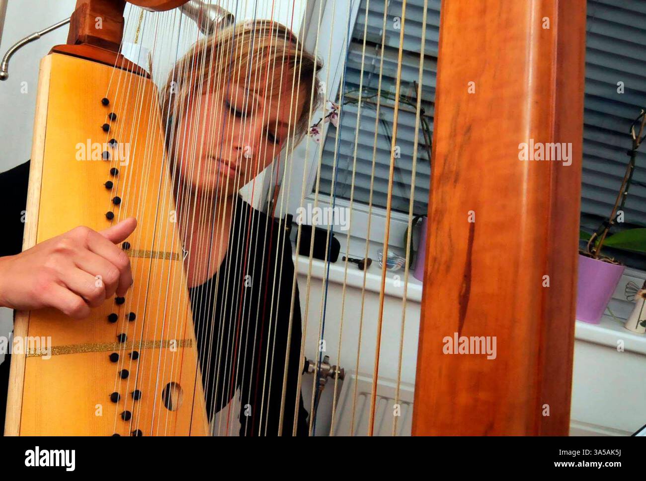a harp, musical instrument with strings which are plucked by the ...