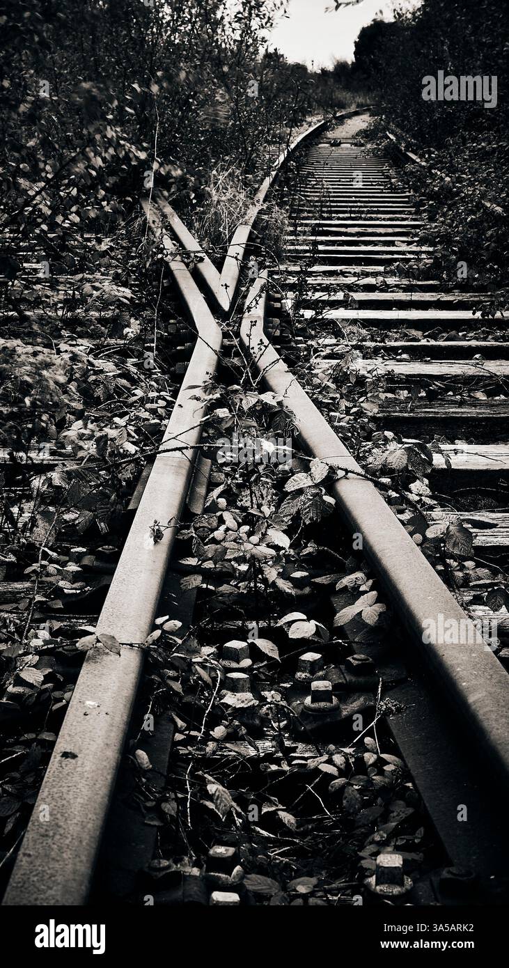 Set of railway points on abandoned rail track Stock Photo - Alamy