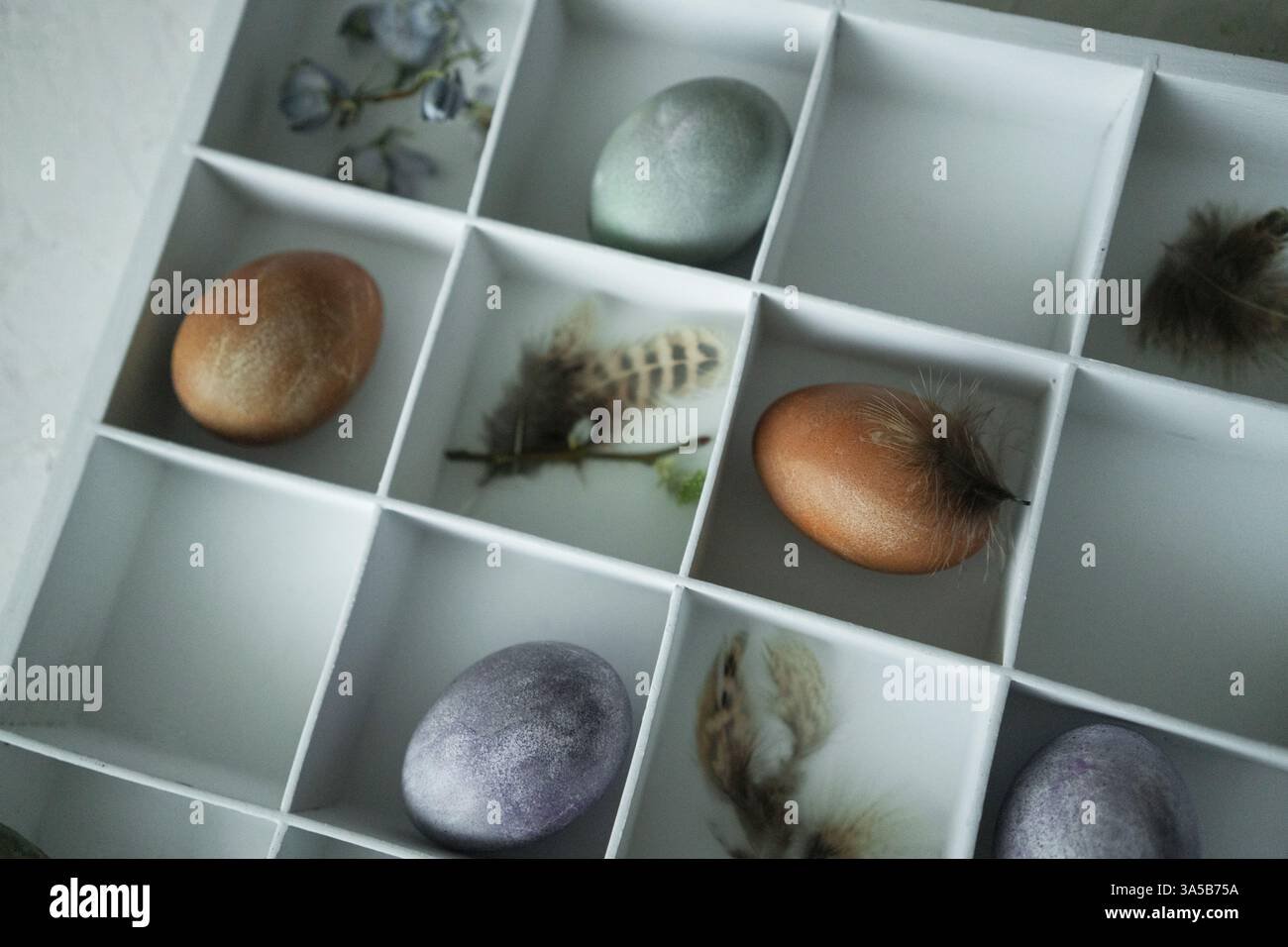 Easter eggs in a white box on a light background with feathers Stock Photo