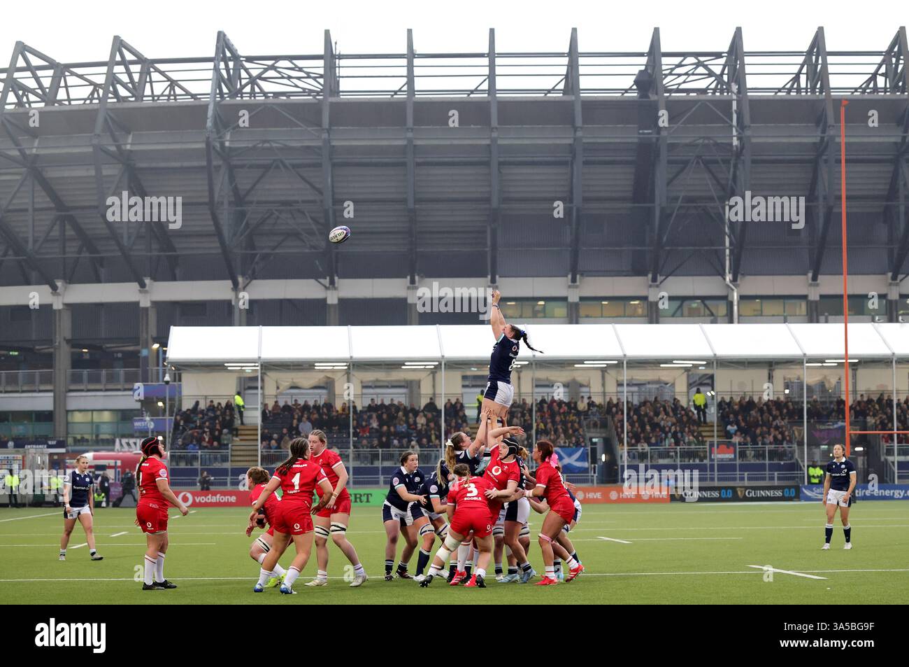 Six Nations Match Hive Stadium The Scotland Shake-Up: Bold Moves by Fukofuka