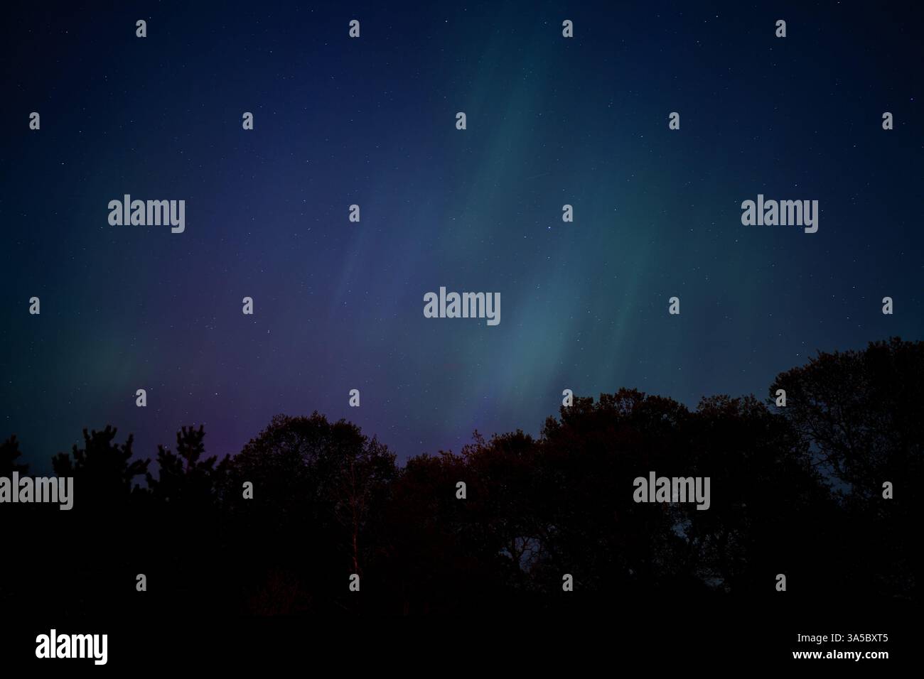 Aurora borealis streaks across a starry night sky above silhouetted ...