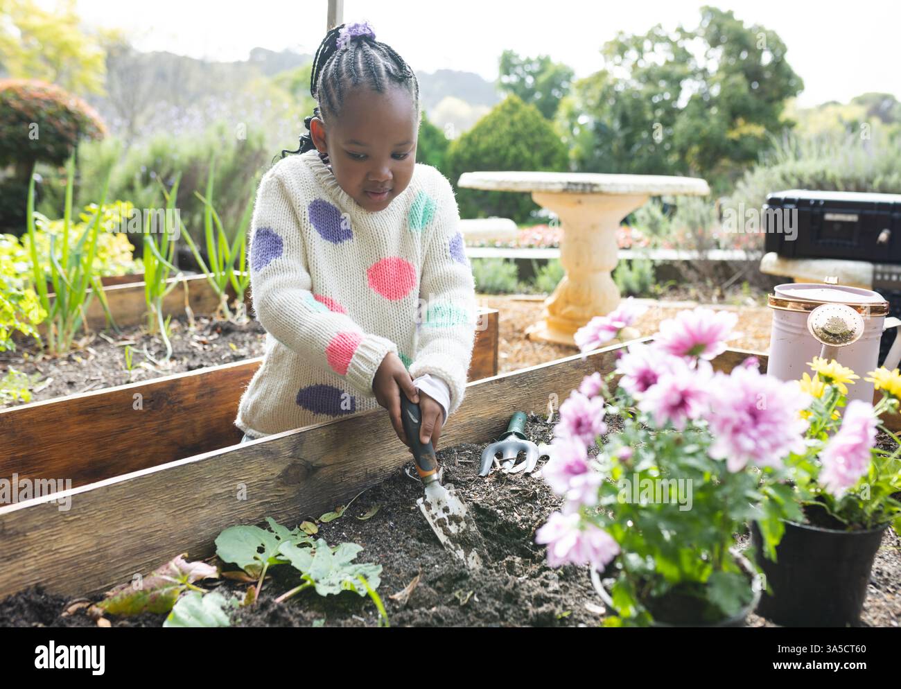African American girl gardening in backyard, planting flowers with ...