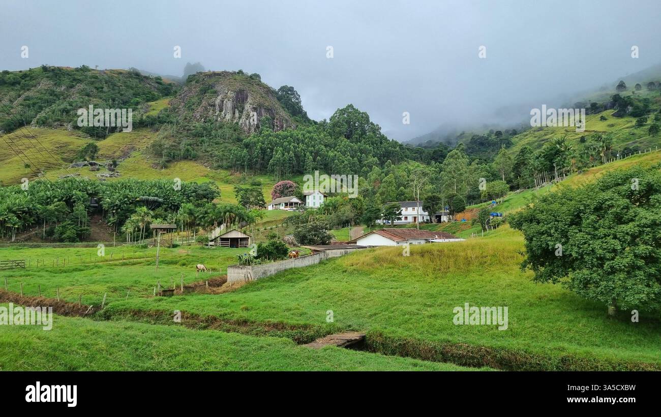 A serene rural valley stretches between lush green hills, where scattered houses rest quietly among trees and grassy fields. - Smartphone Captured Stock Image