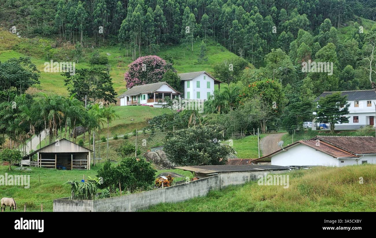 A serene rural valley stretches between lush green hills, where scattered houses rest quietly among trees and grassy fields. - Smartphone Captured Stock Image
