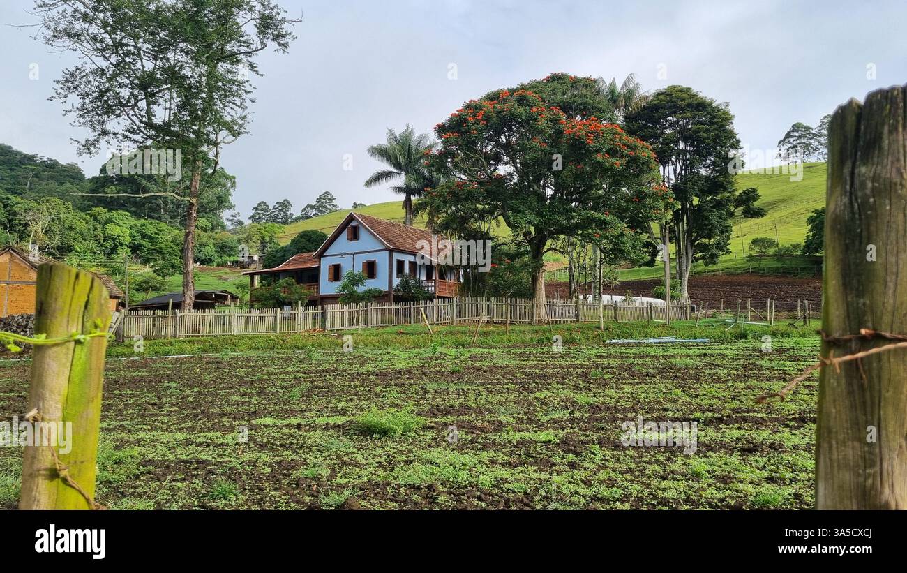 A serene rural valley stretches between lush green hills, where scattered houses rest quietly among trees and grassy fields. - Smartphone Captured Stock Image