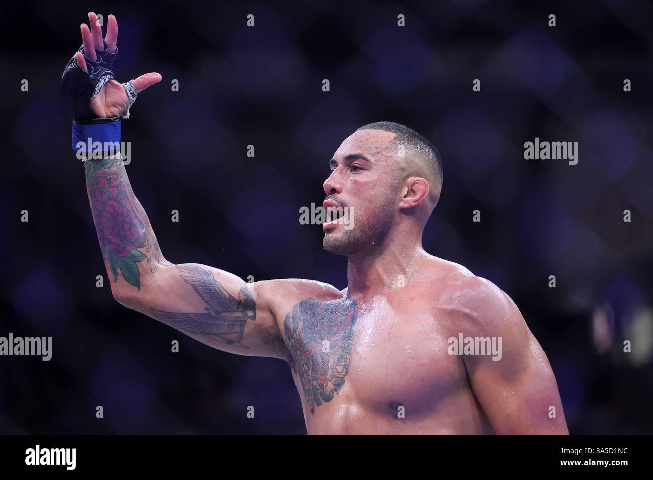 Ufc O2 London 22nd March 2025; O2 Arena, London, England; UFC Fight Night London ...
