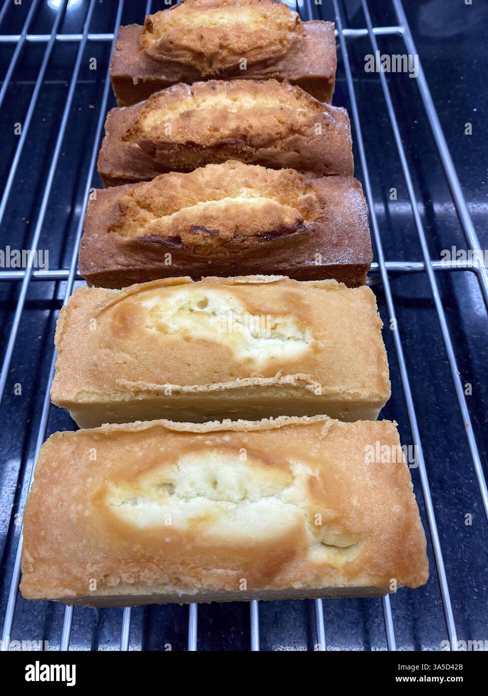 Several golden-brown loaf cakes sit cooling on a wire rack, showcasing various textures and flavors in a warm bakery environment. Stock Photo