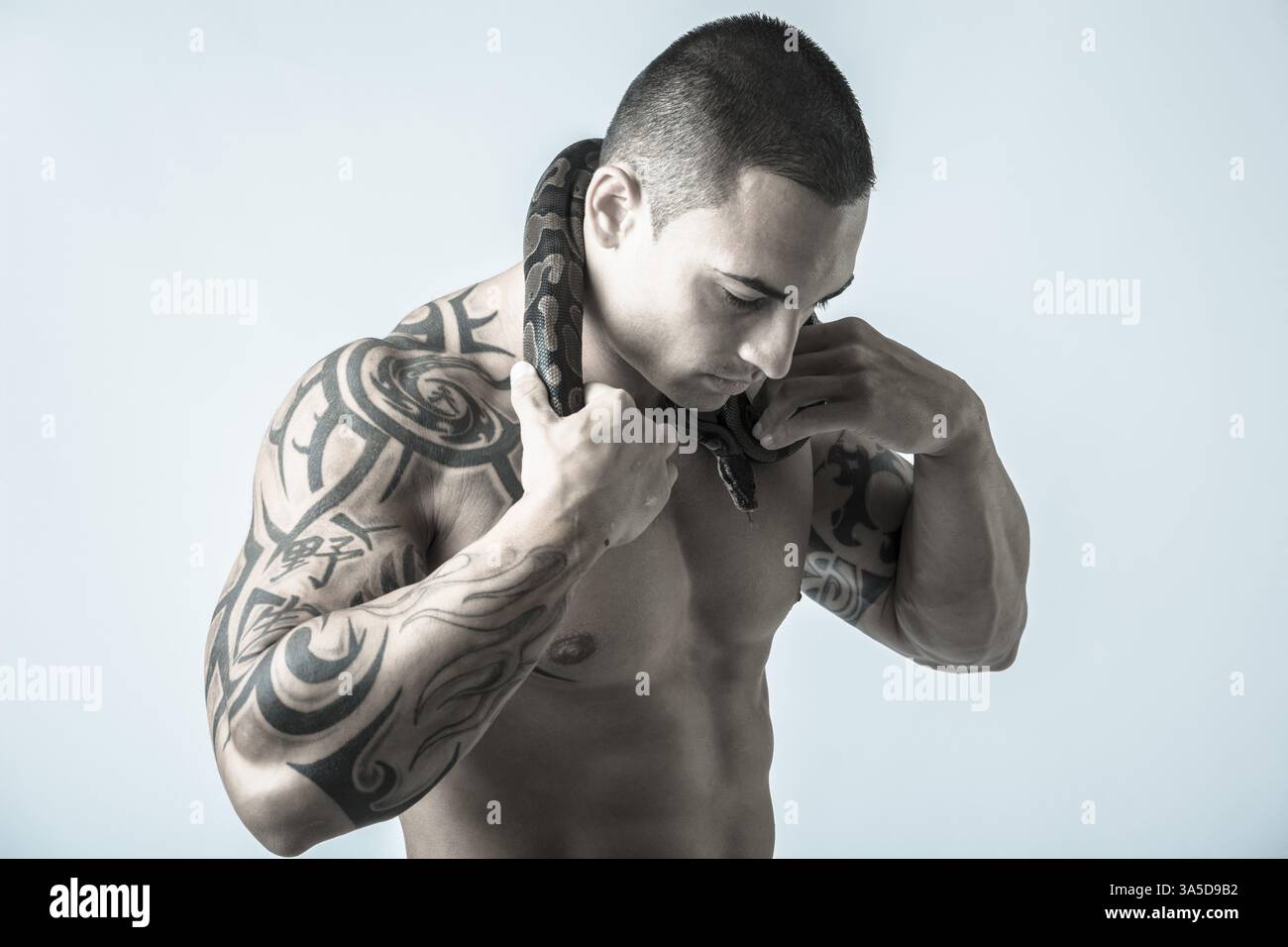 Three Quarter Length Portrait of Muscular Man with Shaved Head Standing in Studio with White Background, with Small Python Snake Wrapped Around Neck Stock Photo