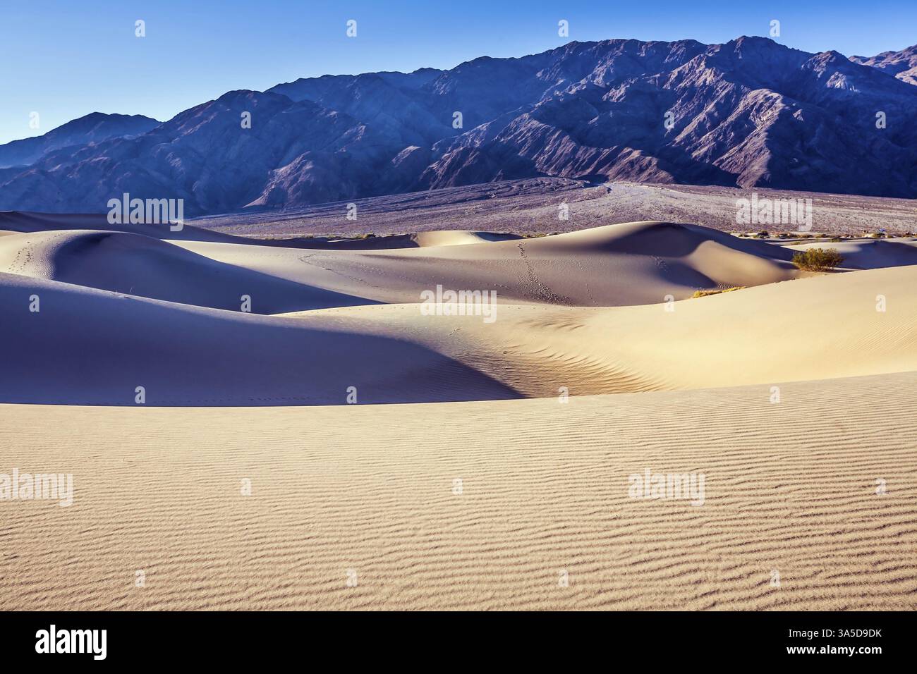 Magical desert morning. Mesquite Flat Sand Dunes - dunes in Death ...