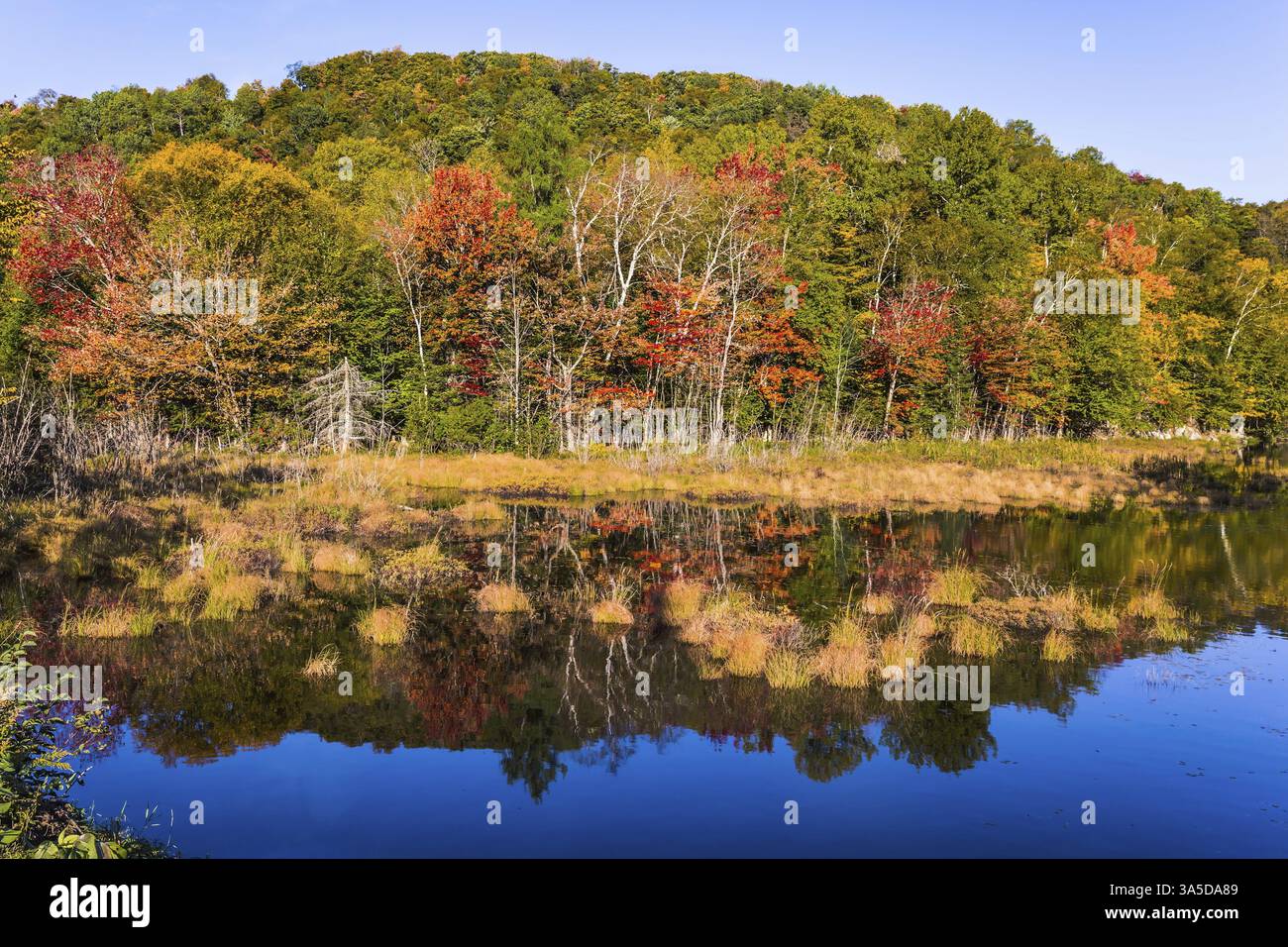 Concept of ecological tourism. The lake is smooth like a mirror. Foliage of forests is reflected in lake. Magnificent resort in French Canada - Mont T Stock Photo