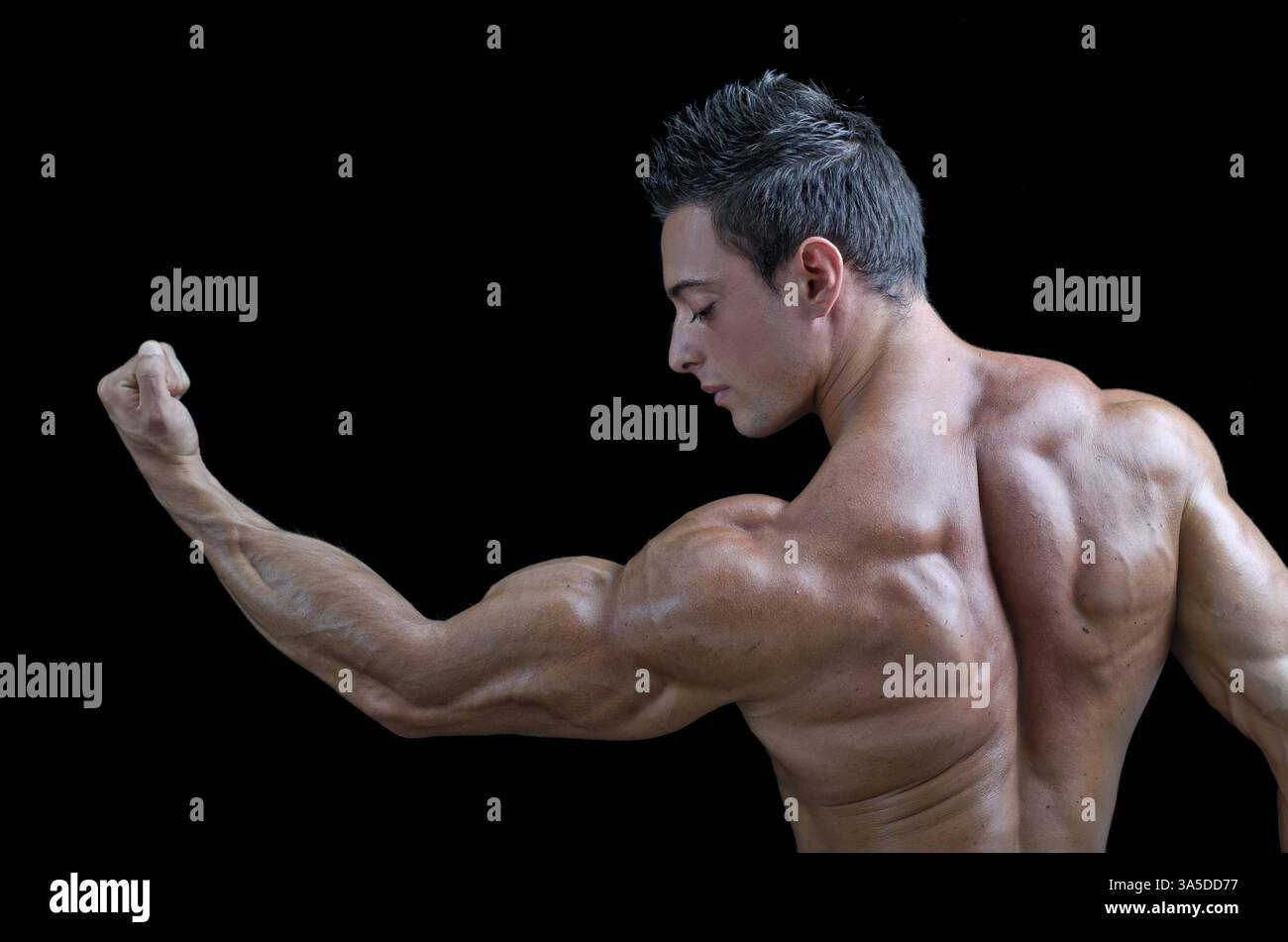 Muscular young bodybuilder seen from the back, looking at his own bicep ...
