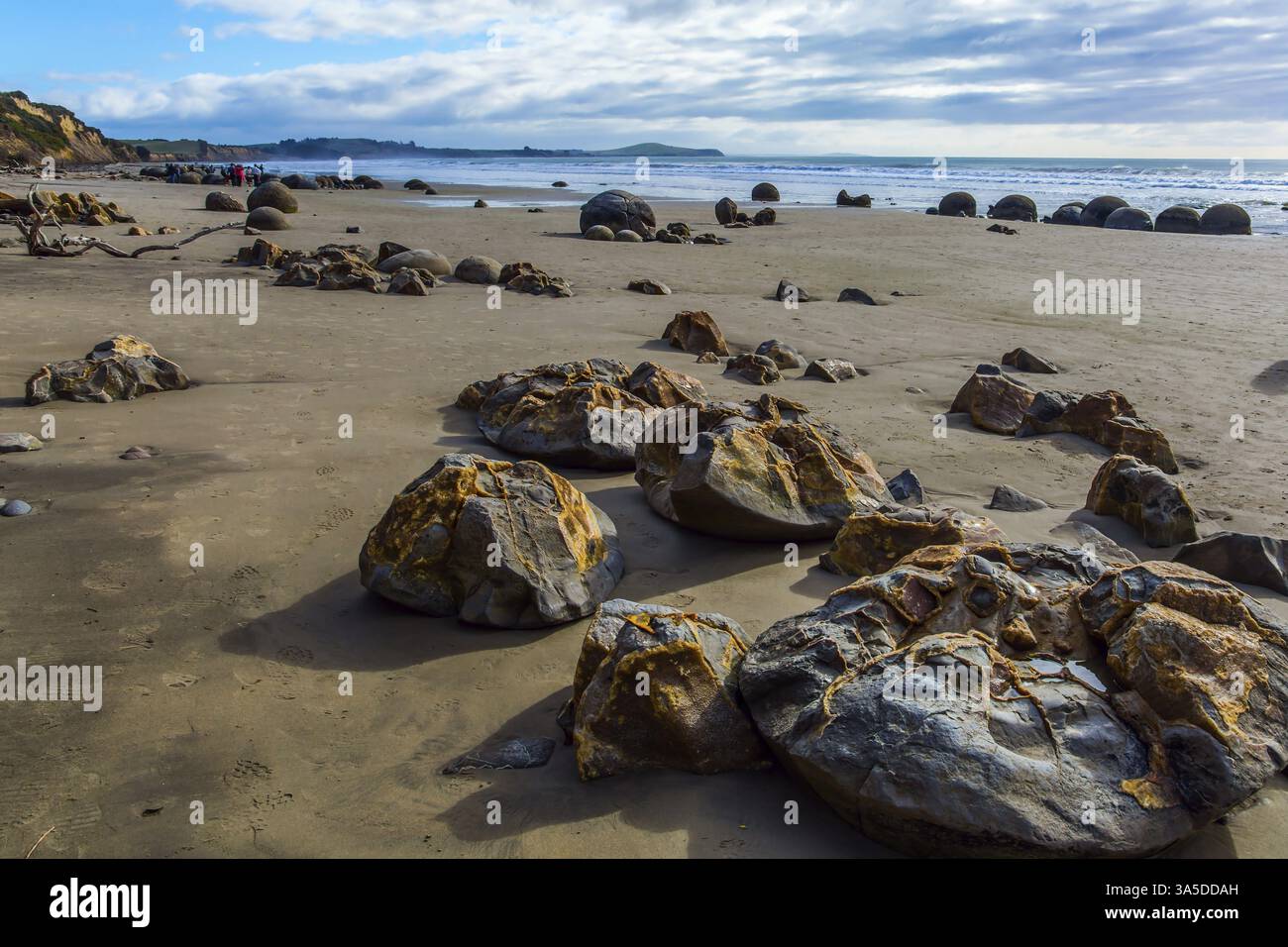 Low tide in the Pacific ocean. The South Island of New Zealand. The popular tourist attraction of Moeraki boulders is a group of huge round stones.The Stock Photo