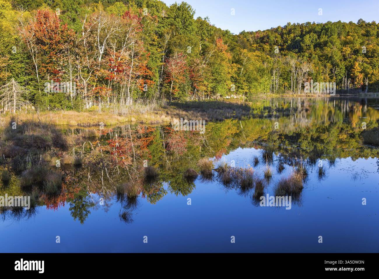 Multicolored foliage of autumn forests is reflected in ponds. The pond is smooth like a mirror. Magnificent resort in French Canada - Mont Tremblant. Stock Photo