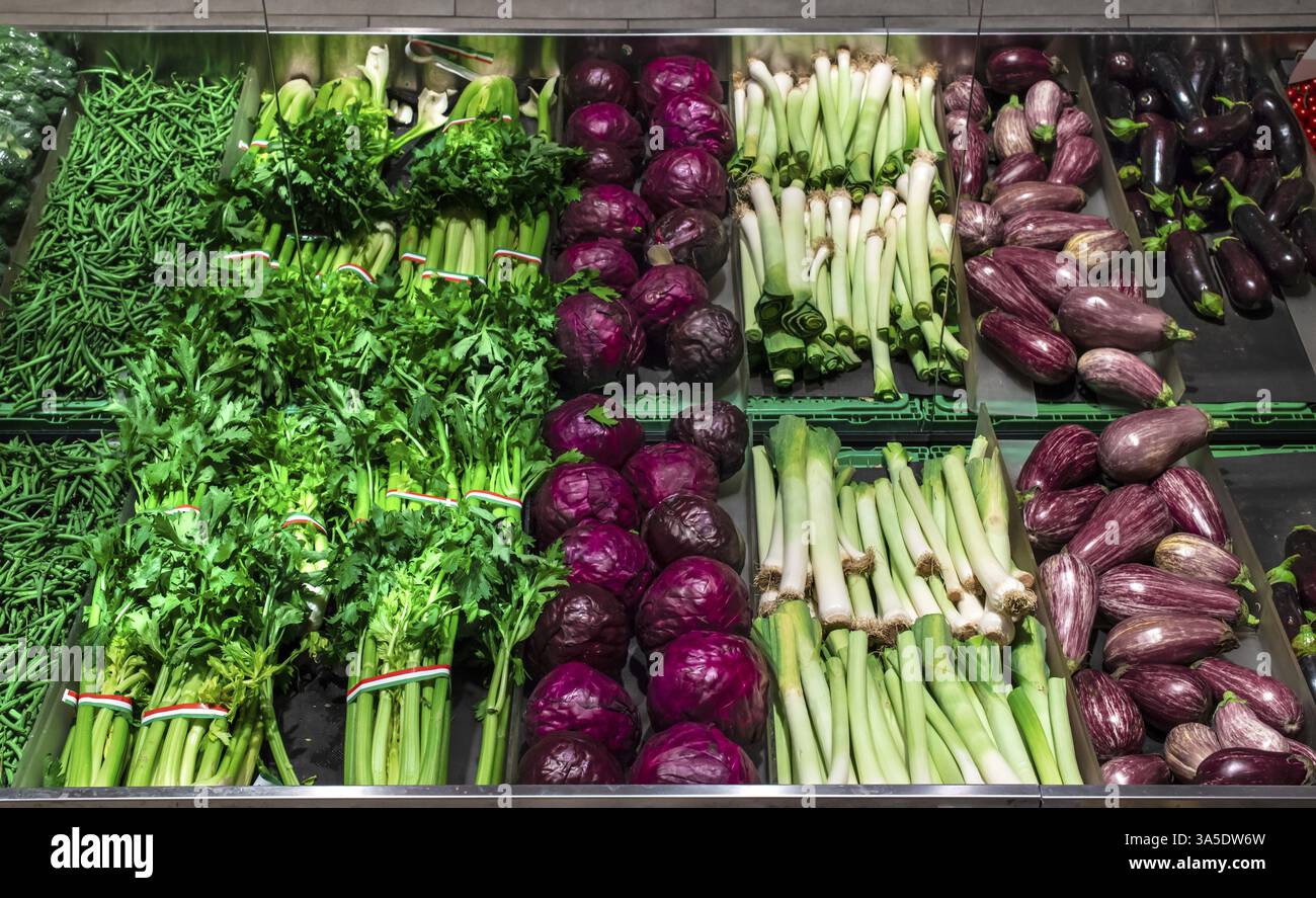 Vegetables on shelf in supermarket. Celery, eggplant, cabbage and beans Stock Photo