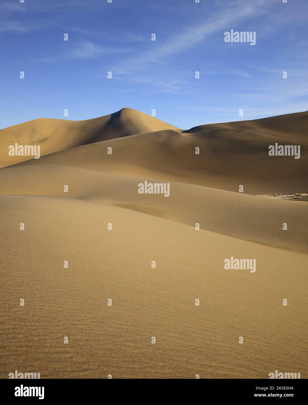 Hot and windy morning in the desert. The soft curves of yellow sand ...