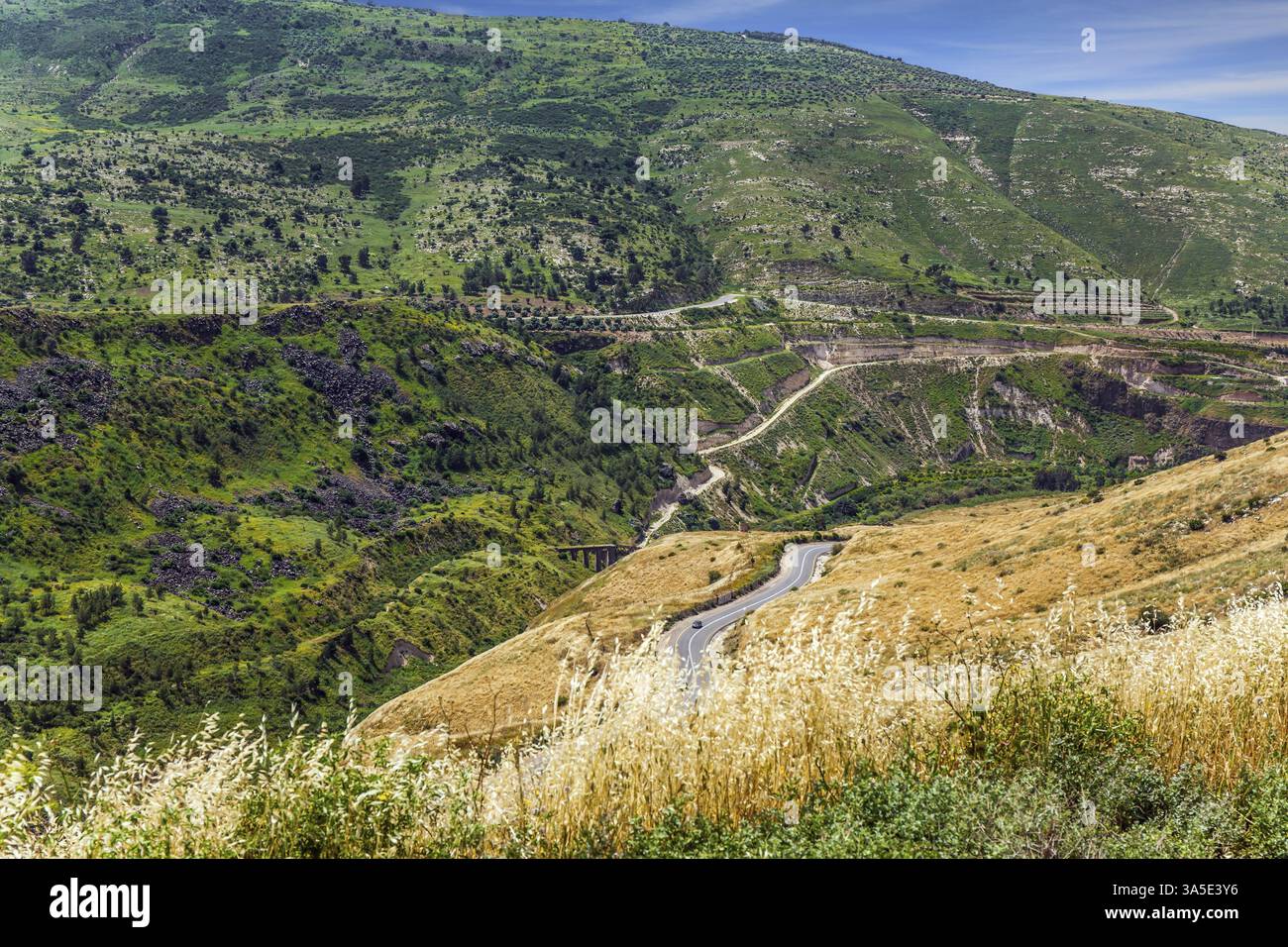 Spring blooming Golan Heights - mountain plateau of volcanic origin ...