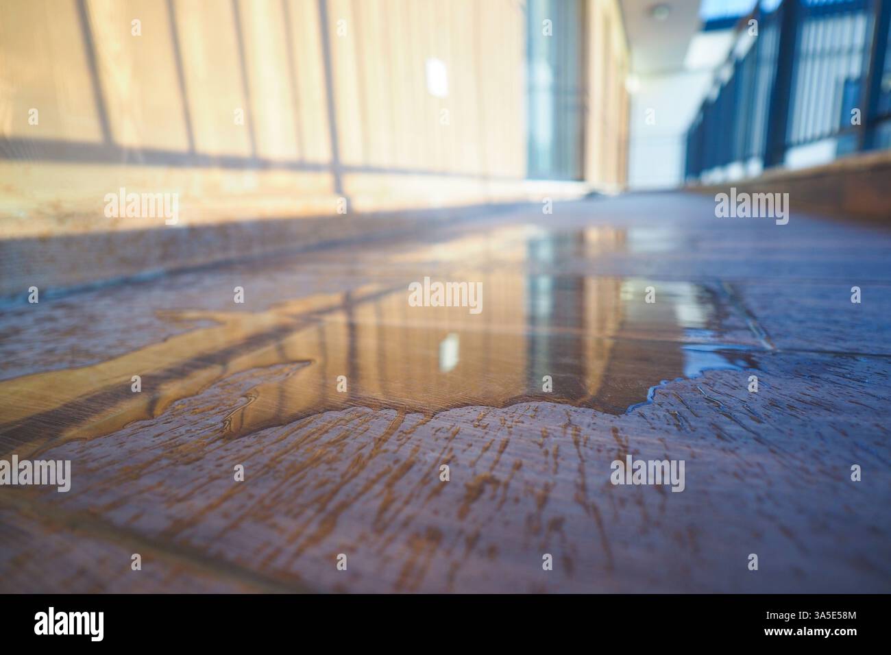 Puddle reflecting morning light on wooden walkway in urban area Stock Photo