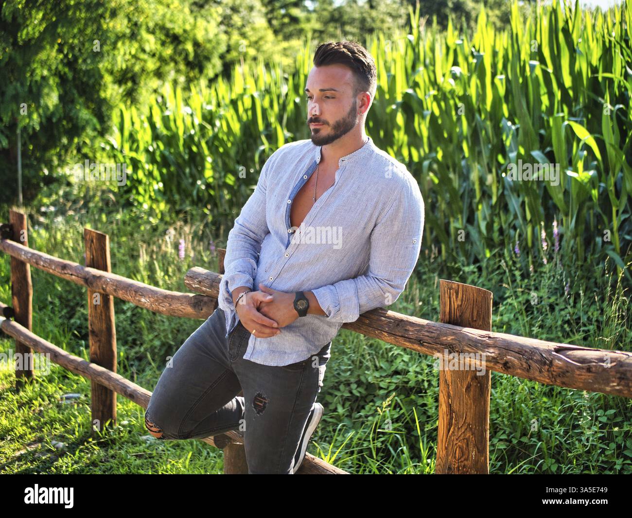 The country post. stock image. Image of farm, barbed - 40813463, image size:1300x1065