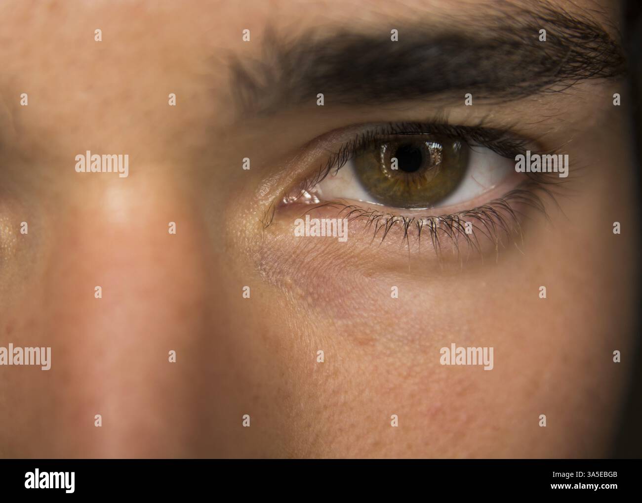 Photo of a person's mesmerizing brown eyes up close Stock Photo