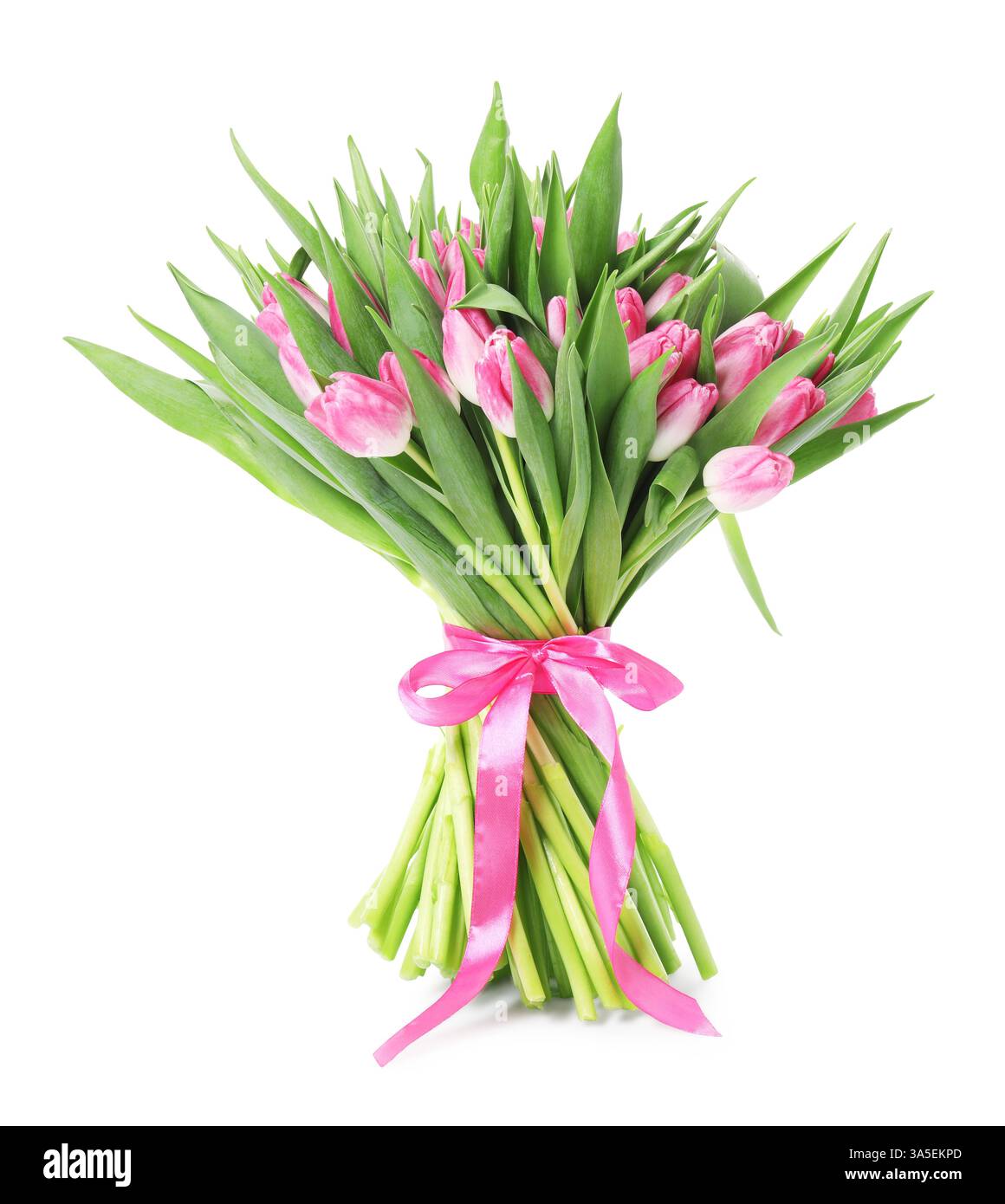 Bouquet of beautiful pink tulips isolated on white Stock Photo - Alamy