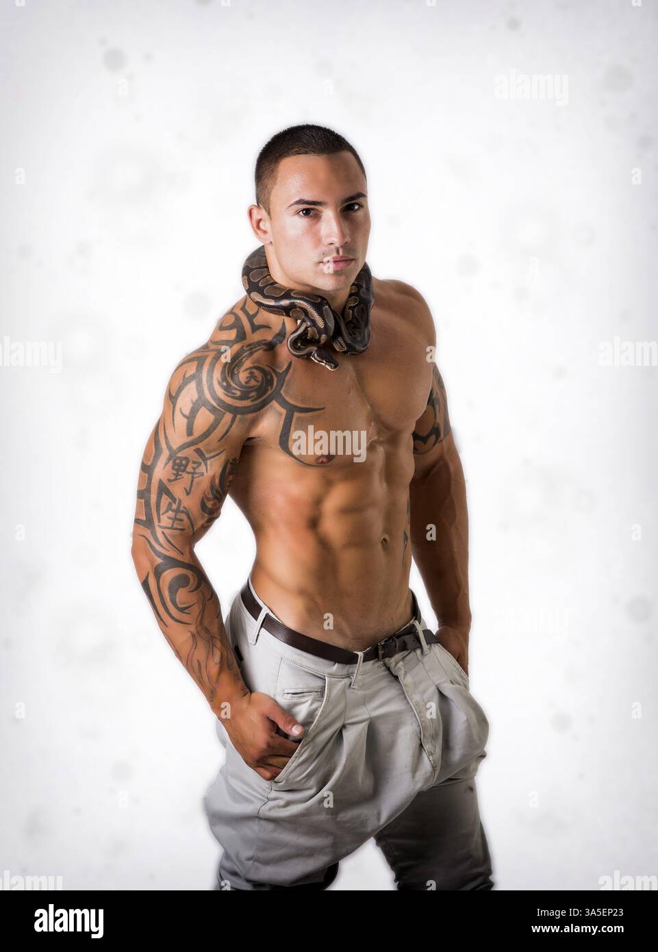 Muscular Man with Shaved Head Standing in Studio with White Background Wearing White Pants and Small Boa or Python Snake Wrapped Around Neck Stock Photo
