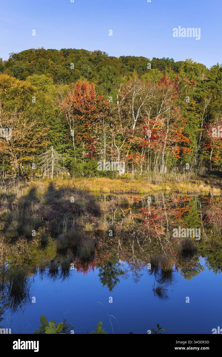 Magnificent resort Mont Tremblant. The pond is smooth like a mirror. Concept of ecological tourism. Foliage of autumn forests is reflected in pond Stock Photo