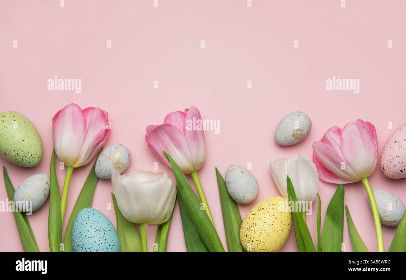 Colorful easter eggs and tulips arranged on a pink background create a ...
