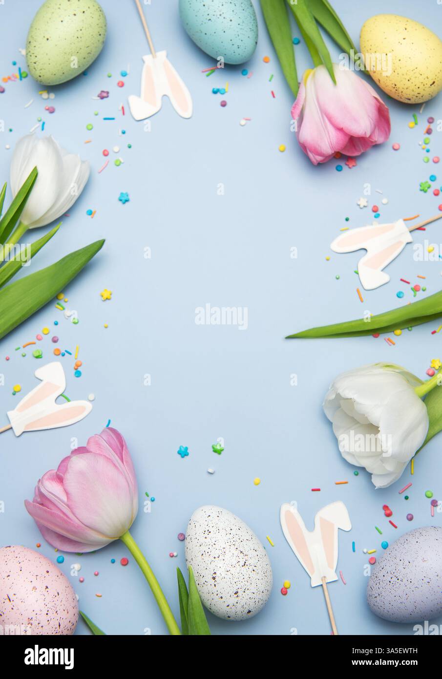 Easter eggs, tulips and bunny ears creating a frame on light blue ...