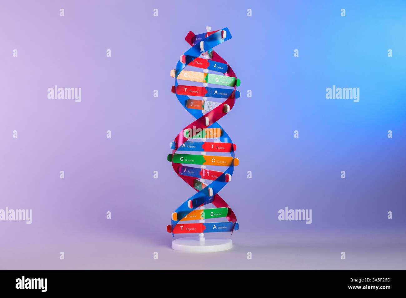 One DNA structure model on color background Stock Photo