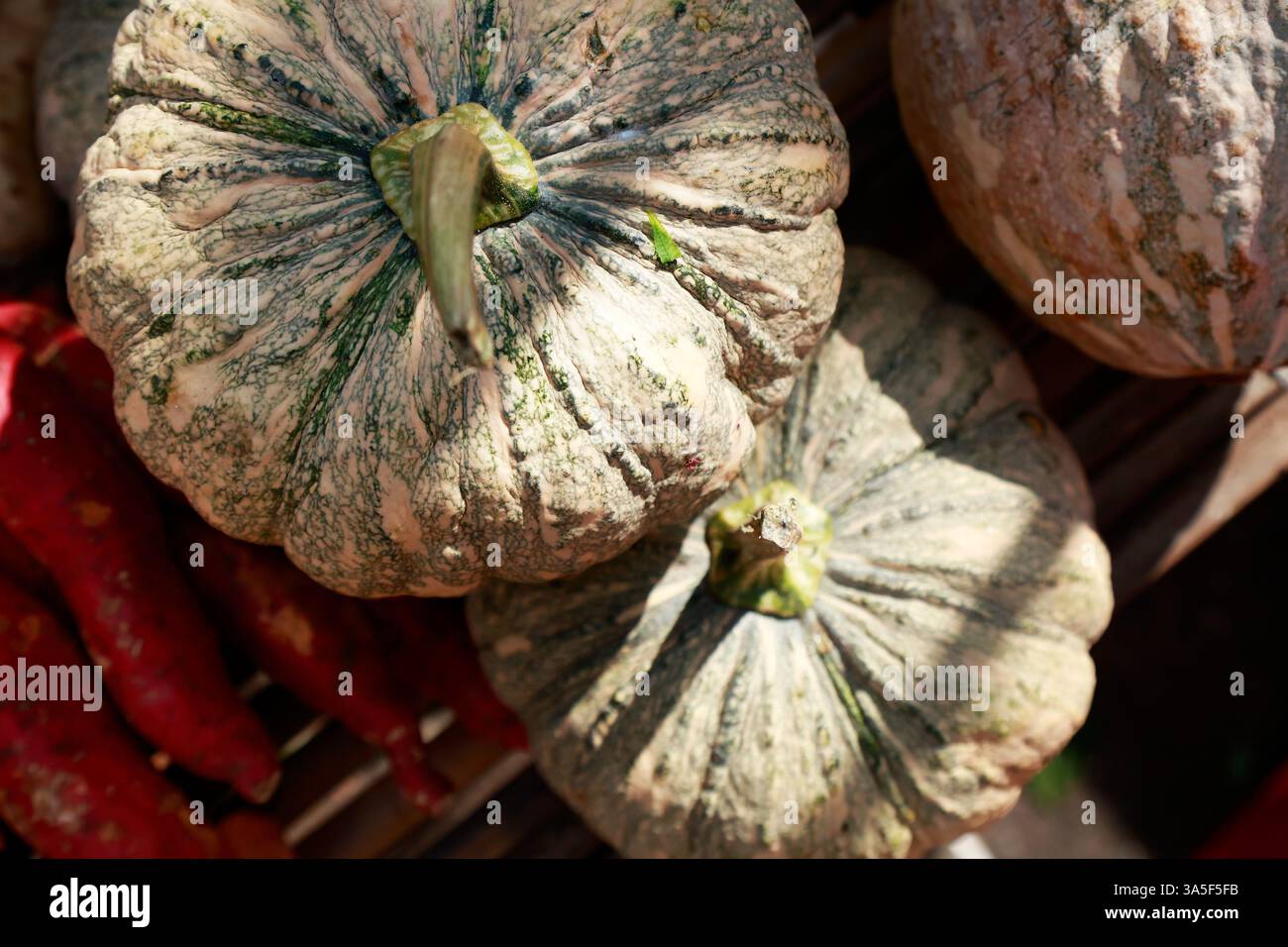 Pumpkins sold market in hi res stock photography and images Alamy