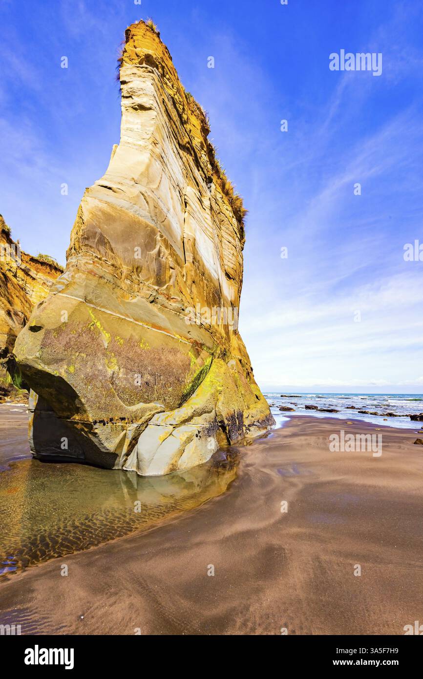 Unique rocks on the ocean shore. The Tongaporutu beach on the Pacific ...