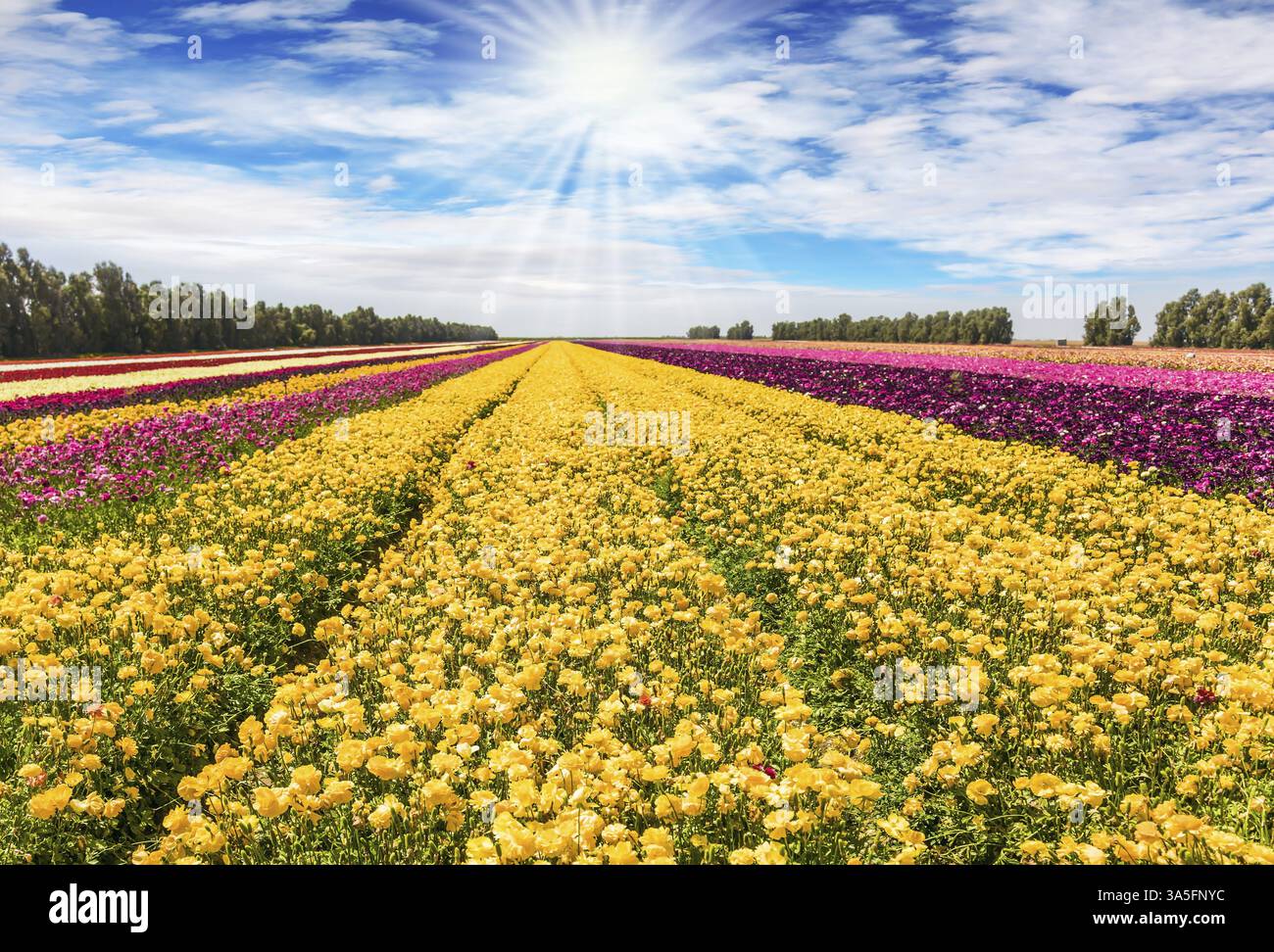 Agritouris hi-res stock photography and images - Alamy