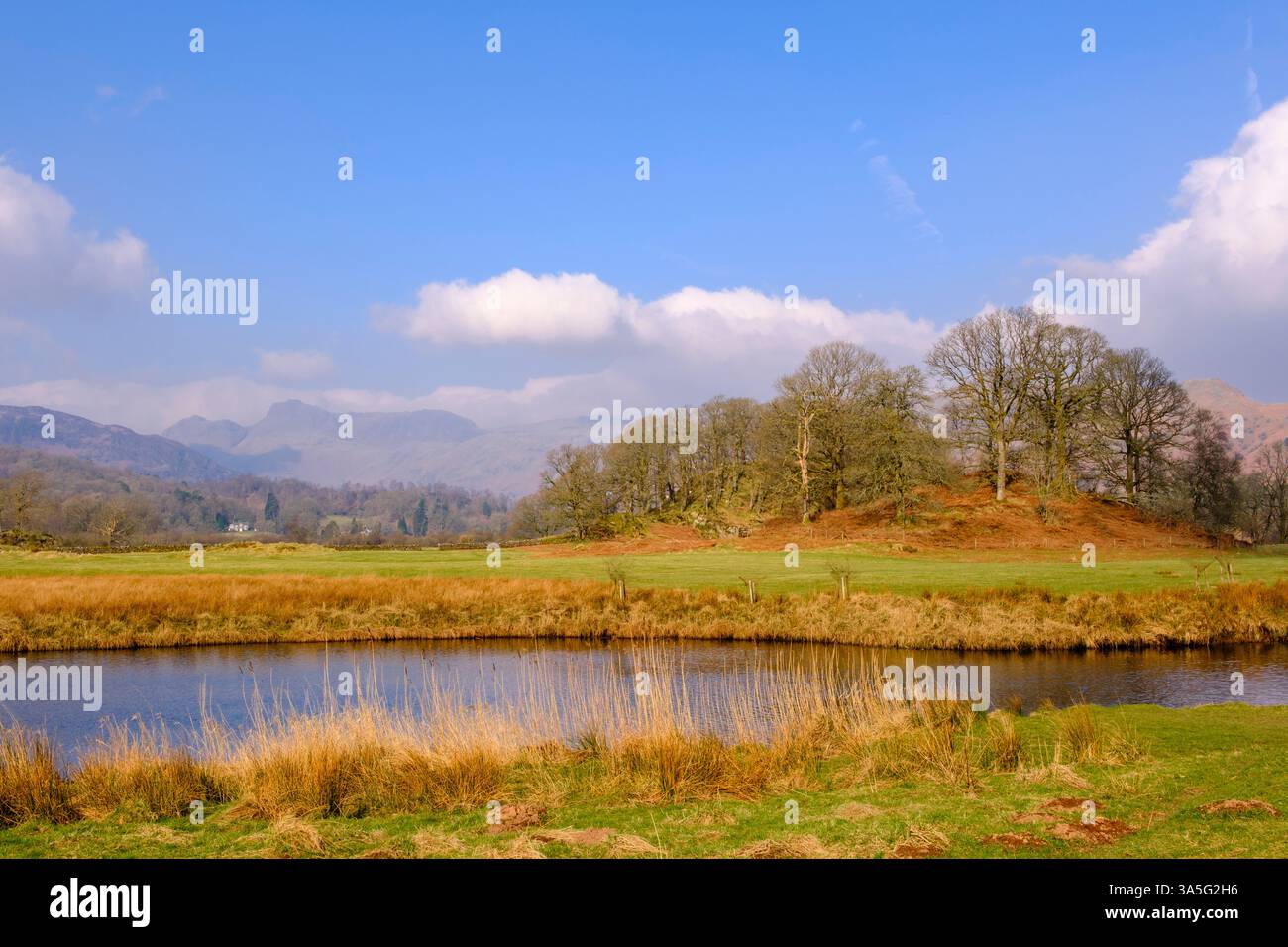 View to Langdale Pikes across River Brathay in Lake District National Park. Elterwater, Ambleside, Cumbria, England, UK, Britain. Stock Photo